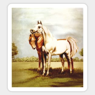 Arabian Horses. Best Friends. Sticker